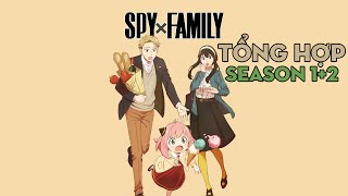 TỔNG HỢP 'Spy x Family' | Season 1+2 | AL Anime