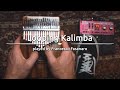 Looping kalimba played by francesco fasanaro  meinl sonic energy