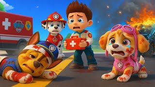Download Lagu Who Injured CHASE? Please Wake Up CHASE x SKYE? - Paw Patrol Ultimate Rescue | Rainbow 3 MP3 Download Lagu Who Injured CHASE? Please Wake Up CHASE x SKYE? - Paw Patrol Ultimate Rescue | Rainbow 3 MP3
