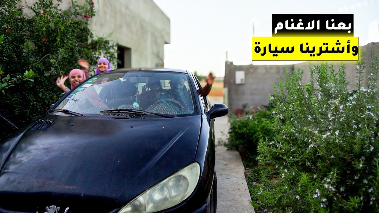 أشترينا سيارة\ هل بيعنا للأغنام أمر صائب