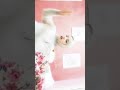 هفتح لايف بكرا الساعه 10