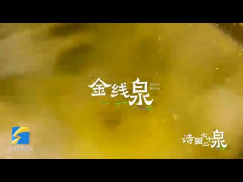 《诗画72泉》金线泉｜水纹金丝 济南趵突泉公园的这一方小池内暗藏什么样的“弦”机？