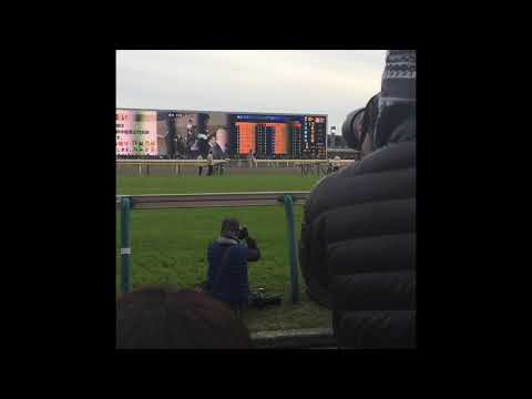 ジャパンカップ2015 ゴールドシップ馬場入場の様子
