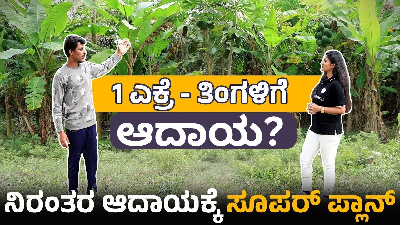 Banana & Arecanut Integrated Farming: 1 ಎಕರೆಯಲ್ಲಿ 2 ಬೆಳೆಗಳಿಂದ ಆದಾಯ
