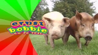 De Speurtocht  Avonturen Op Vakantie  Ernst En Bobbie