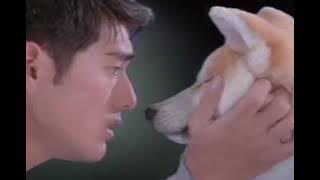 金城武 - 标准情人