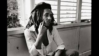 Bob Marley & The Wailers - So Much Trouble In The World (Extended Mix)