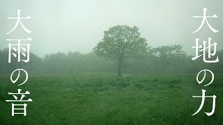 【大雨の浄化と大地の力】雨の音を聴くだけで心身浄化＆エネルギーチャージできるパワースポット自然音【富士山グラウンディング】Relaxing Heavy Rain Sounds