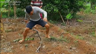 Sinakal Sahabat Petani