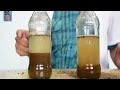 The Soil Profile - Kids Science Experiments