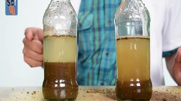 The Soil Profile - Kids Science Experiments