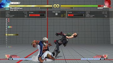 Akira VS2   1 Bar   EX DP Punish