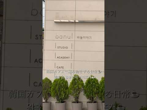 【Stockinette】韓国の編み物カフェに行く日常Vlog☕️🧶 #knittingvlog #棒針 #knitting #뜨개로그 #韓国カフェ #vlog #編み物vlog #編み物 #韓国