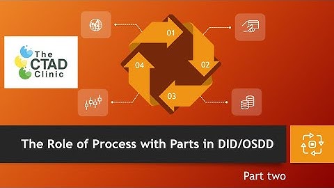 The Role of Process with Parts in DID/OSDD part two