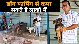 Dog Farming In India | german shepherd, labrador, rottweiler, pug, डॉग फार्मिंग से कमाई लाखो में