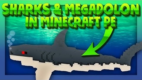 SHARKS/ MEGADOLON IN MCPE 1.0 - Minecraft PE 1.0 ADDON - ( Minecraft Pocket Edition )