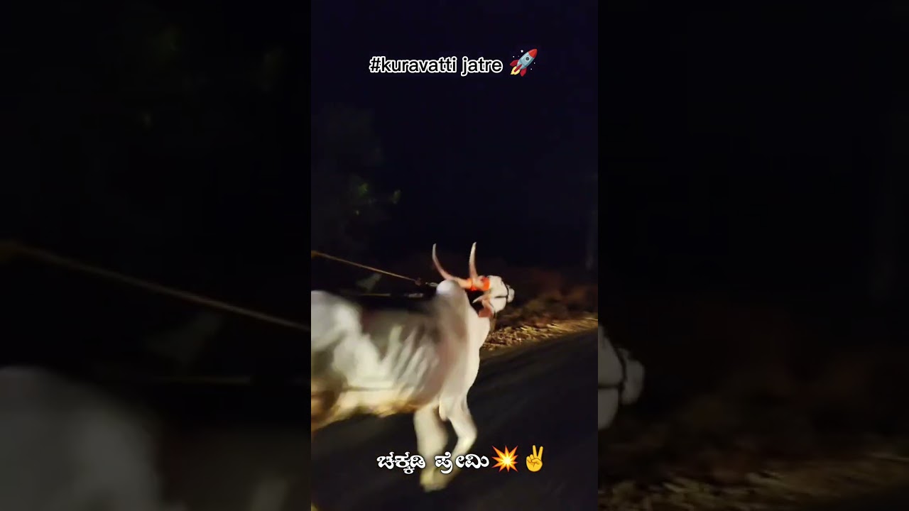 ಕುರವತ್ತಿ ಜಾತ್ರೆ ಟಾಪ್ ಬುಲ್ಸ್ ನಮ್ಮ ಹಾವೇರಿ ಚಕ್ಕಡಿಗಳು  ಜೈ ಚಕ್ಕಡಿ ಪ್ರೇಮಿ #haveri 