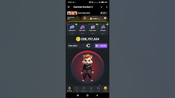 17 Aug - Hamster Kombat Cipher Code #hamsterkombat #level #ciphercodes #binance #bitcoin #games