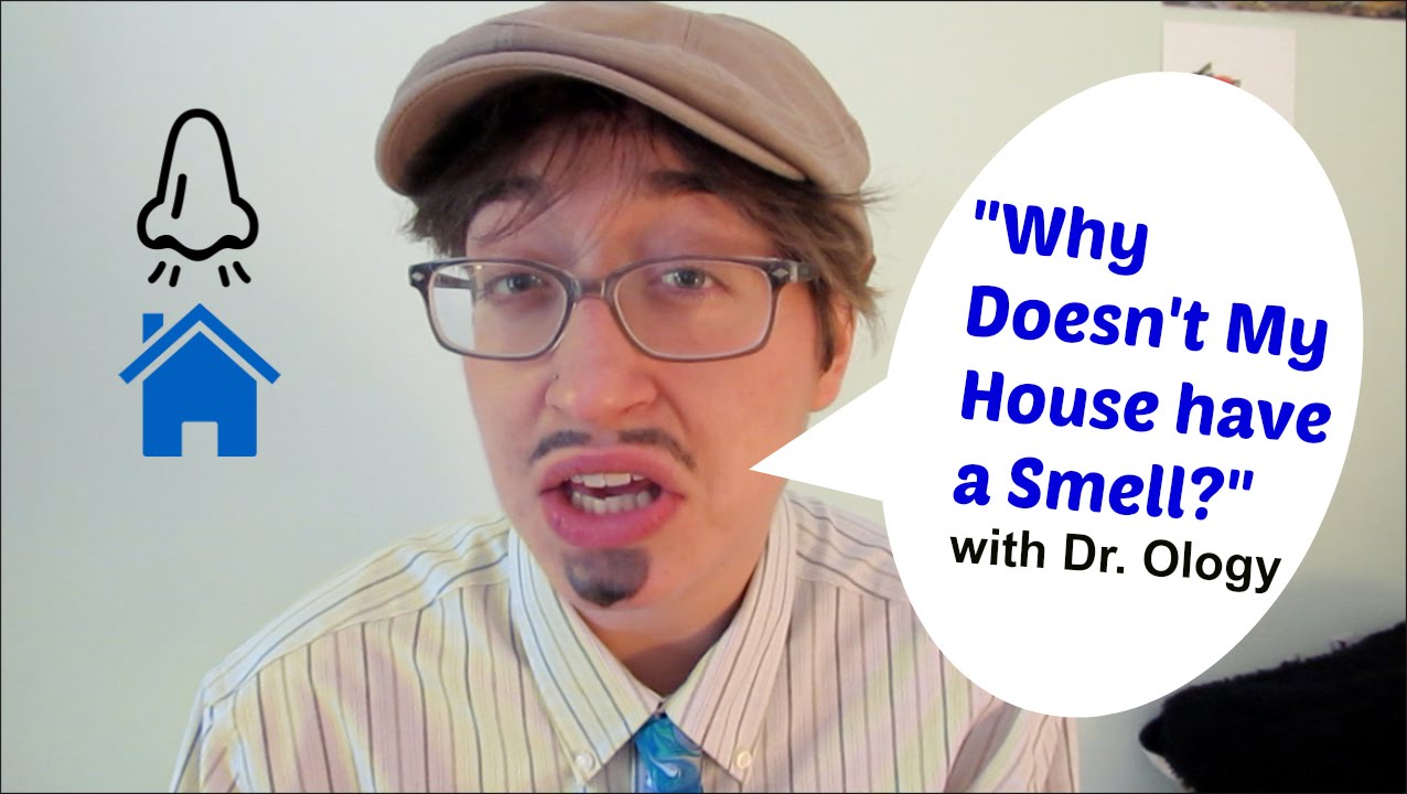 Why Doesn’t My House Have a Smell? | Psych2Go