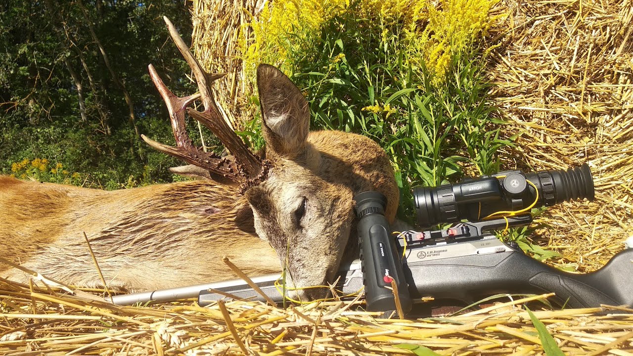 Охота на трофейного самца косули в ОХ «Белый лось». Arkon Arma HR50L и RedRay Romul 319