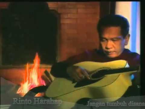 Rinto Harahap jangan tumbuh disana