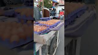 احلى جوله بقلعه السراغنه