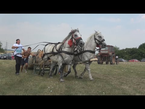 Video: Cum Să încadrați în Cadru în