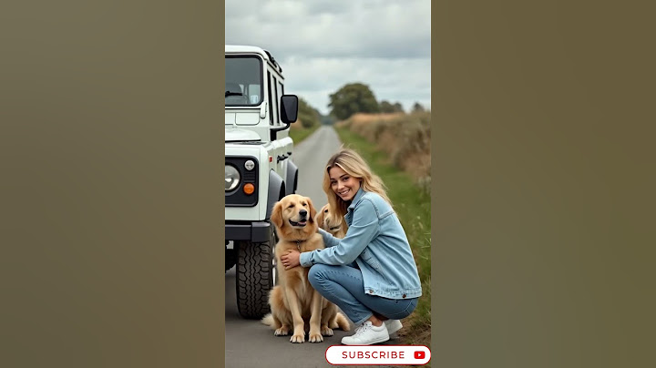 Dog’s Quick Thinking Prevents a Car Disaster