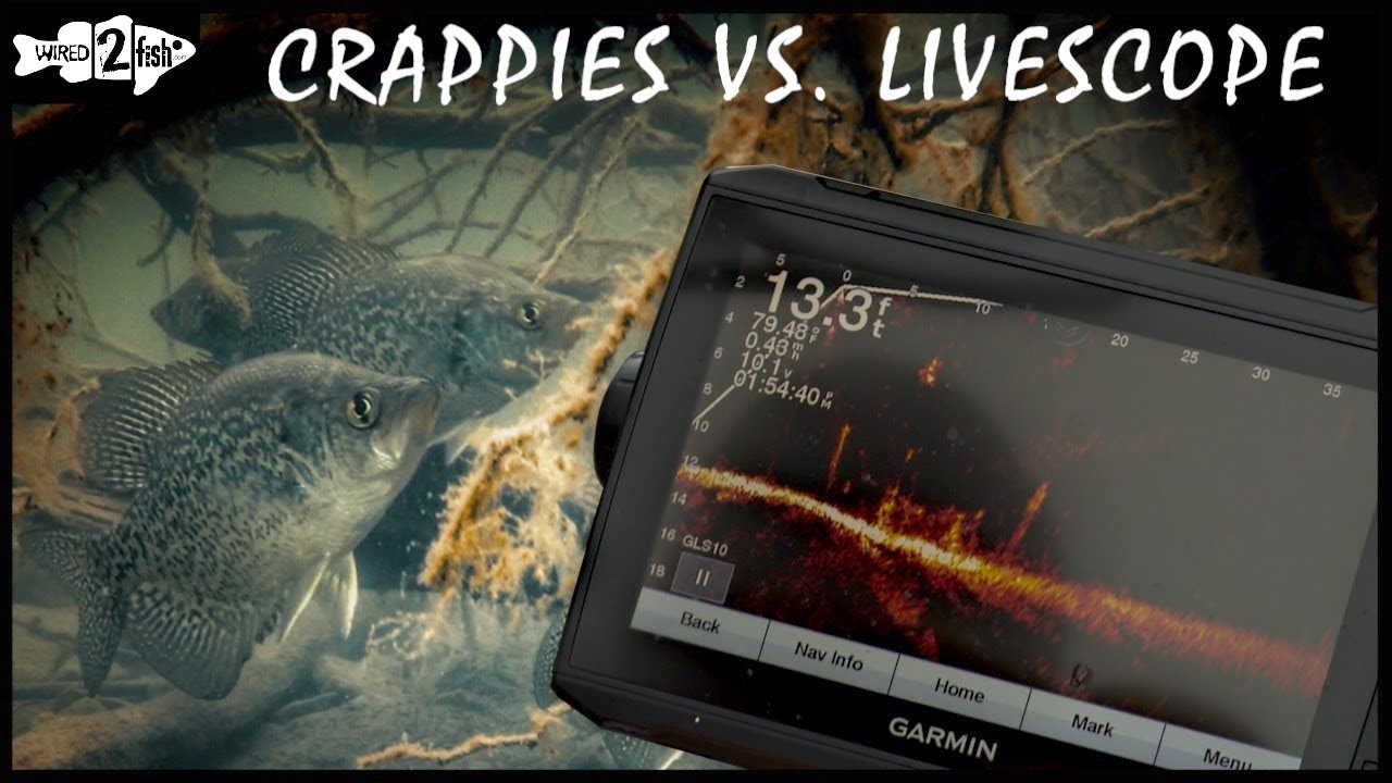 Garmin Panoptix LiveScope System TV Spot, 'See Fish Live, Catch Fish Now' 