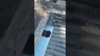 cambio de canaleta finalizado... empalmes con estaño , tornillos t1 y sellador ...