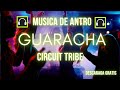 Capture de la vidéo A La Grande Le Puse Cuca🔥| Guaracha | Circuit | Chacal | Tribe Musica Antro 2024 | Dj Nomo Track #21