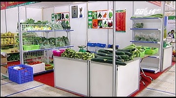 VTC14 | Đảm bảo vệ sinh an toàn thực phẩm theo chuỗi