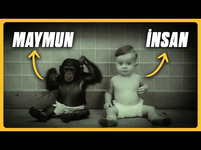 Ogzimga kirmang Kichkina lezbiyen video