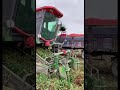 حصاد الطماطم