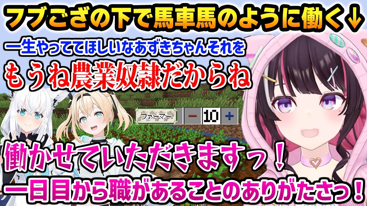 【#ホロ金策サバイバル2 】フブござの元で馬車馬のように働くあずきちw【AZKi 白上フブキ 風真いろは ホロライブ】