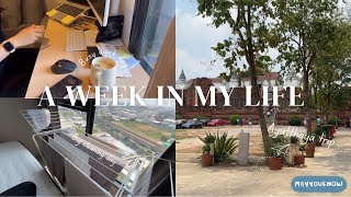 [Living Alone] Corporate girl l Busy Week, House Cleaning, Ayutthaya 1 Day-trip #weeklyvlog