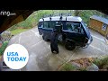 Bear family breaks into van in North Carolina | USA TODAY