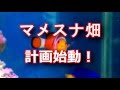 マメスナ畑計画始動！ついでにチャームの水質チェック