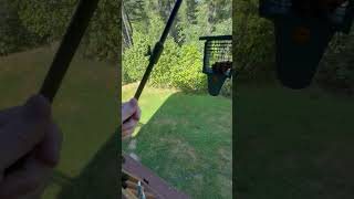 Erytlly deck pole, great option for bird feeders on decks?