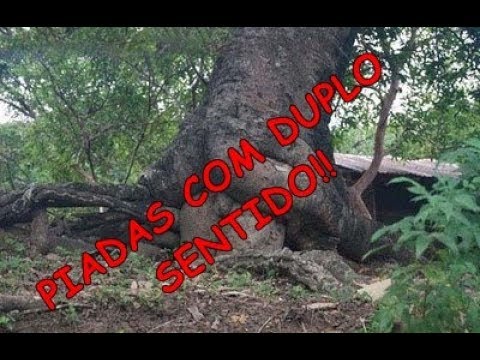 PIADAS COM DUPLO SENTIDO