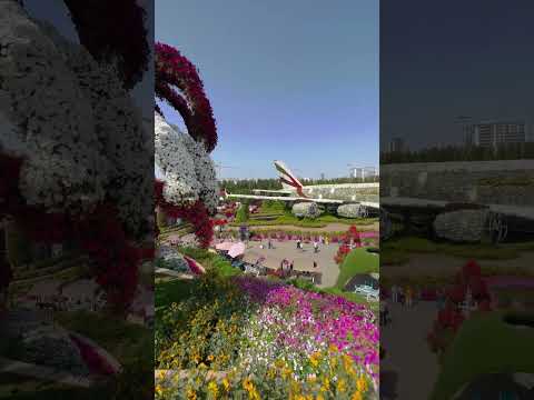 A Floral Wonderland: The Miracle Garden of Dubai