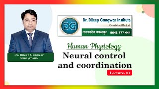 Nervous System | Neural Control and Coordination | By Dr Dileep Gangwar screenshot 4