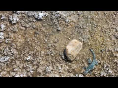 Roland & Constantin Explore Death Valley in March 2009