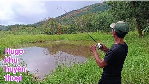 Câu cá lóc_Hành trình săn hàng Hugo (p43)@Hữunghị tv
