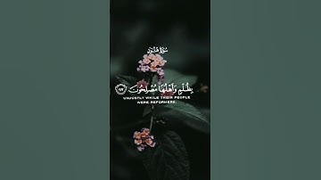 لاتهجروا القرآن الكريم ❤️❤️#quran #islam #قرآن