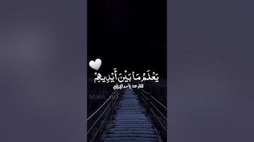 آية الكرسي 🤍 تلاوة القارئ :ياسر الزيلعي #quran #islam #اسلاميات