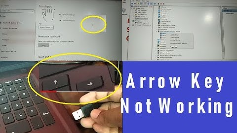 Mouse, Touchpad, Keyboard Arrow Key Not Working Windows 10 and windows 11 [7 Easy Ways] Fixed