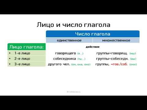 1  Лицо и число глагола