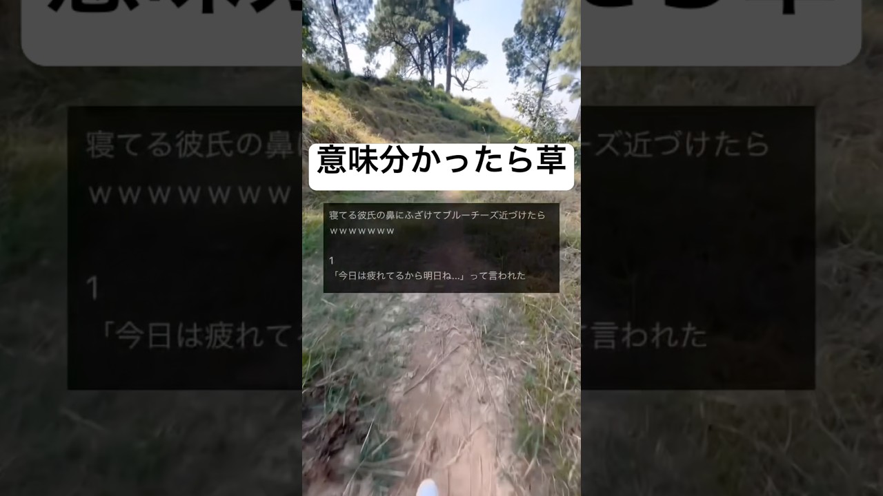 これは笑ったwwww#shorts#面白い#笑える#意味#カップル#画像