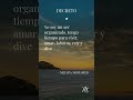🌟 ¡Conviértete en un imán que atrae todo lo positivo!